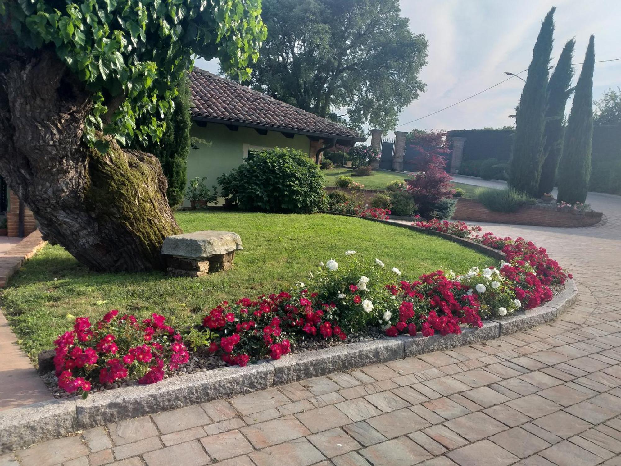 B&B La Bianchina Monale Luaran gambar